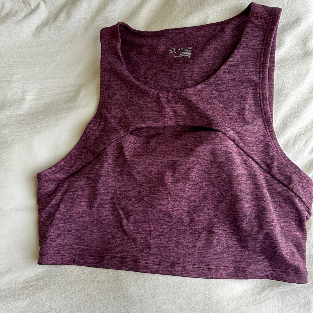 Aerie Purple Crop Top